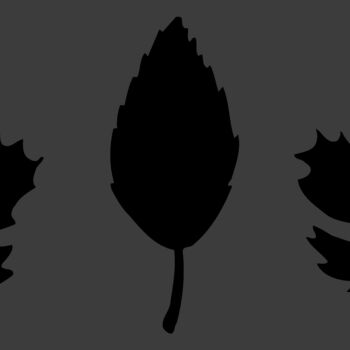 LEAF001 Thumbnail