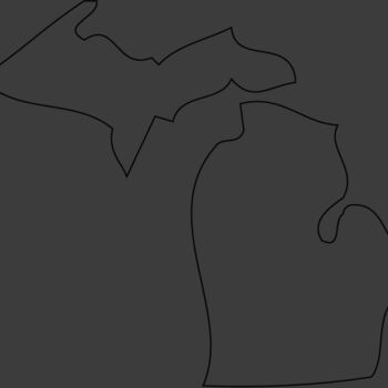 MICHIGAN Thumbnail