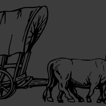 WAGON018 Thumbnail