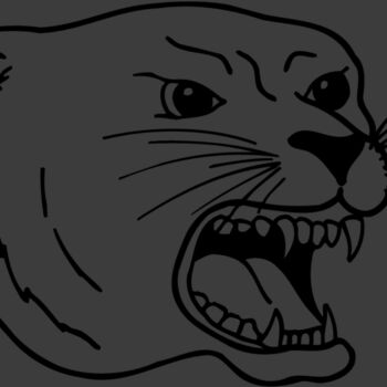 CAT17 Thumbnail