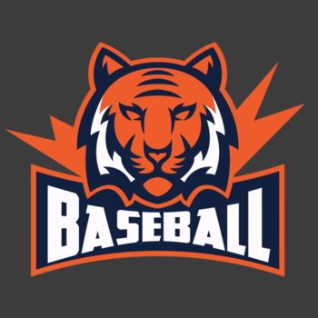 Tiger Team Baseball 01 Thumbnail