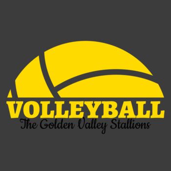 Volleyball 40 Thumbnail