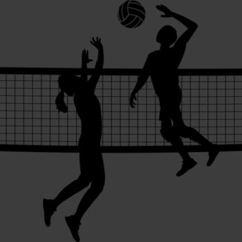 Volleyball   Clipart 12 Thumbnail