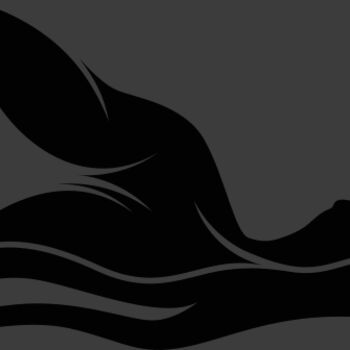 Swimming    Clipart 4 Thumbnail