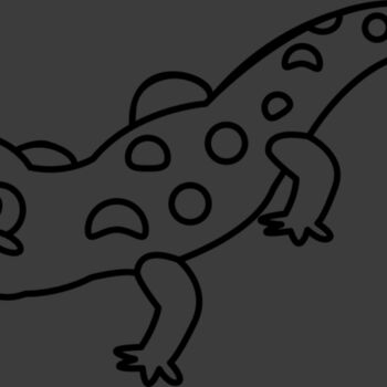 Newt   Clipart 2 Thumbnail