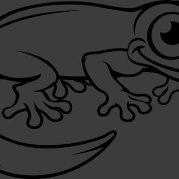 Newt   Clipart 3 Thumbnail