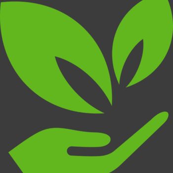 51 Leaves in hands Thumbnail