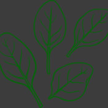 Spinach Thumbnail