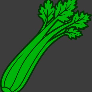Celery Thumbnail