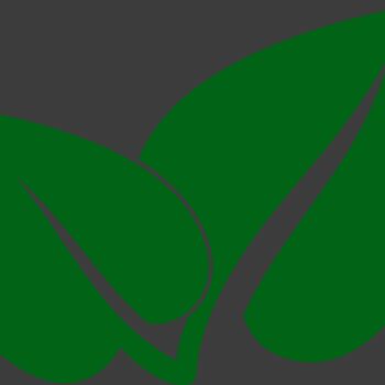 Leaves 2 Thumbnail