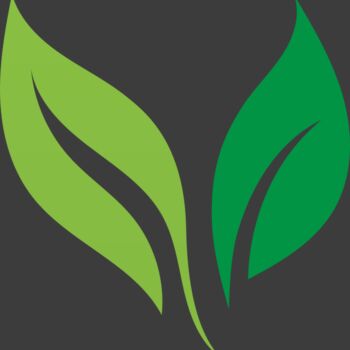 Leaves Thumbnail
