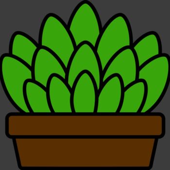 Succulent Plant Thumbnail