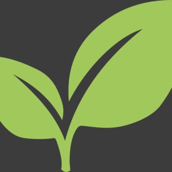 Leaves 6 Thumbnail