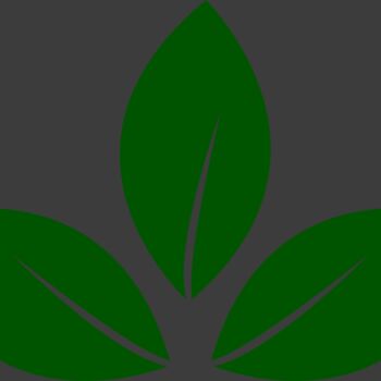 Leaves 5 Thumbnail