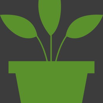 Plant 2 Thumbnail