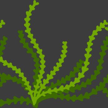 Sea Plant Thumbnail