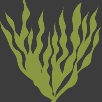 Sea Plants 5 Thumbnail