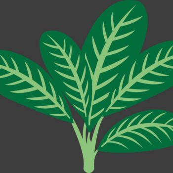 Plants 7 Thumbnail