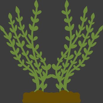 Plants 4 Thumbnail