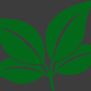 Leaves Thumbnail