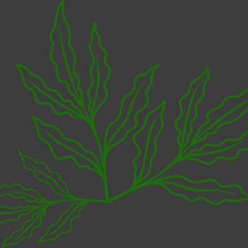Leaves 7 Thumbnail