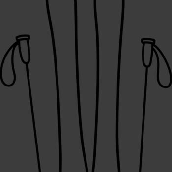 Ski Board and Poles 2 Thumbnail