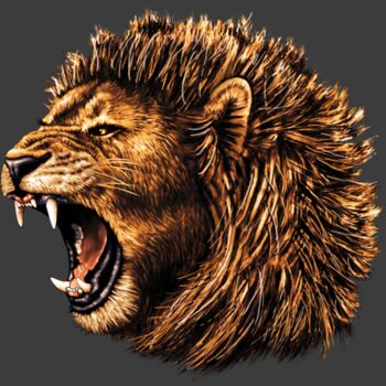 LION Thumbnail