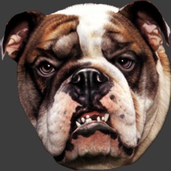 BULLDOG Thumbnail