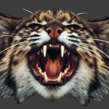 WILDCAT Thumbnail