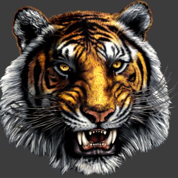 TIGER Thumbnail