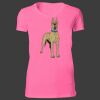 Ladies' The Favorite-slim feminine fit T-Shirt Thumbnail