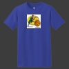 ComfortSoft Heavyweight 100% Cotton T Shirt Thumbnail