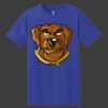ComfortSoft Heavyweight 100% Cotton T Shirt Thumbnail