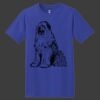 ComfortSoft Heavyweight 100% Cotton T Shirt Thumbnail