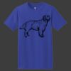 ComfortSoft Heavyweight 100% Cotton T Shirt Thumbnail