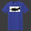 ComfortSoft Heavyweight 100% Cotton T Shirt Thumbnail