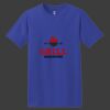 ComfortSoft Heavyweight 100% Cotton T Shirt Thumbnail