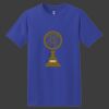 ComfortSoft Heavyweight 100% Cotton T Shirt Thumbnail