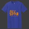 ComfortSoft Heavyweight 100% Cotton T Shirt Thumbnail