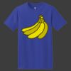 ComfortSoft Heavyweight 100% Cotton T Shirt Thumbnail
