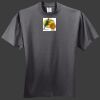 HiDensi T 100% Cotton T Shirt Thumbnail