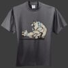 HiDensi T 100% Cotton T Shirt Thumbnail