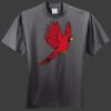 HiDensi T 100% Cotton T Shirt Thumbnail