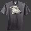 HiDensi T 100% Cotton T Shirt Thumbnail