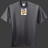 HiDensi T 100% Cotton T Shirt Thumbnail