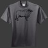 HiDensi T 100% Cotton T Shirt Thumbnail