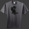 HiDensi T 100% Cotton T Shirt Thumbnail