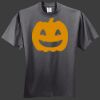 HiDensi T 100% Cotton T Shirt Thumbnail