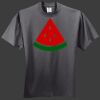 HiDensi T 100% Cotton T Shirt Thumbnail