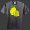 HiDensi T 100% Cotton T Shirt Thumbnail